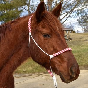Horse Halter